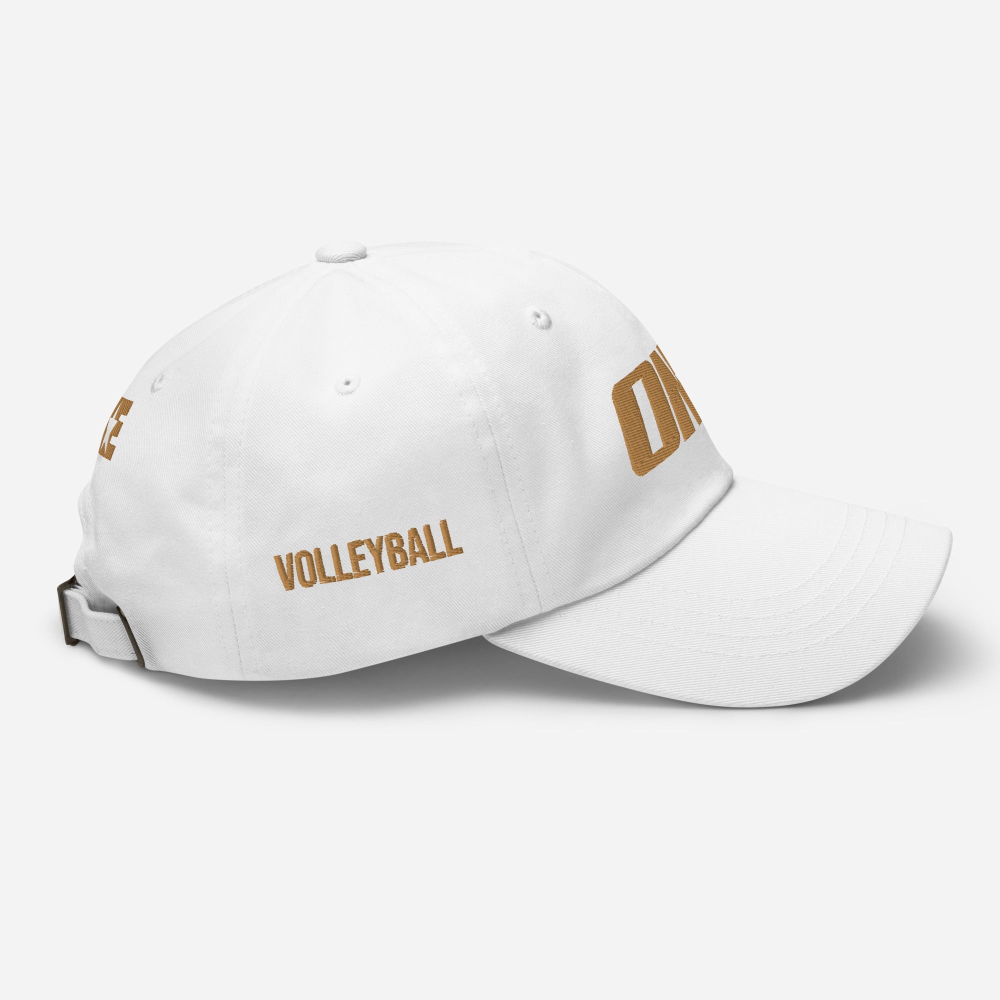 Volleyball 1STAR Zest Dad Cap