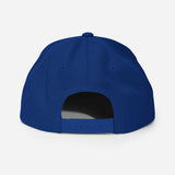 Texas 1STAR Snapback Cap